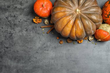 Gri arka plan, metin için yer ile düz yatıyordu kompozisyon üzerinde farklı balkabağı. Sonbahar tatil