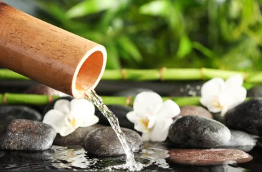 Spa taşlar ve çiçekler, closeup ile geleneksel bambu çeşme. Metin için yer