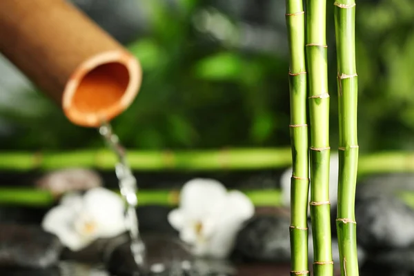 Bambuszweige Gegen Verschwommene Brunnen Und Wellnesssteine Raum Für Text — Stockfoto