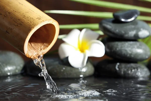 Traditioneller Bambusbrunnen Mit Wellness Steinen Und Blumen Nahaufnahme Raum Für — Stockfoto