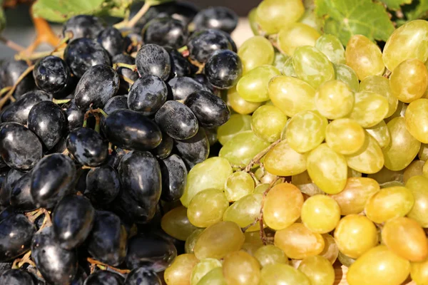 Uvas Jugosas Frescas Maduras Como Fondo Primer Plano — Foto de Stock