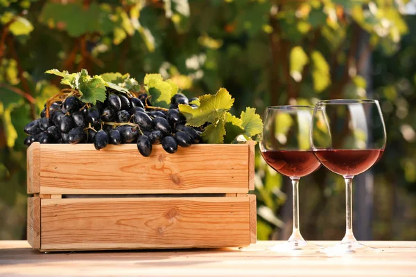 Composizione Con Vino Uva Matura Tavola All Aperto — Foto Stock
