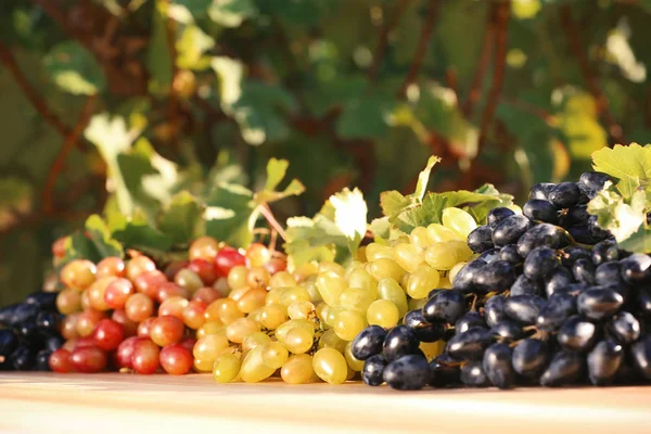 Verse Rijpe Sappige Druiven Tafel Tegen Onscherpe Achtergrond — Stockfoto
