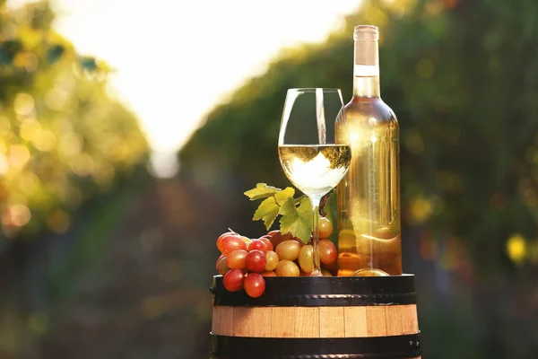 ワインと鏡筒を屋外に熟したブドウと組成 テキストのためのスペース — ストック写真
