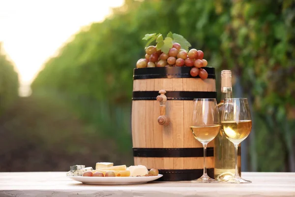 Composition Wine Snacks Table Outdoors Stock Image