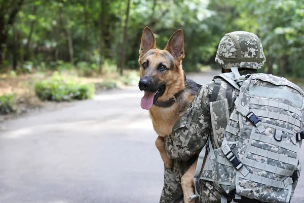 Mann Militäruniform Mit Schäferhund Draußen — Stockfoto