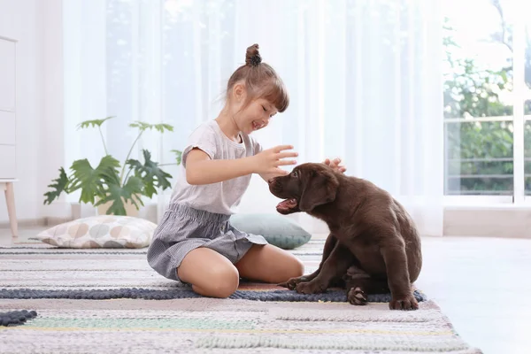 Adorable chocolate labrador retriever and little girl at home