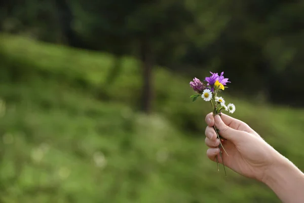 Frau Hält Strauß Schöner Wiesenblumen Vor Verschwommenem Hintergrund — Stockfoto