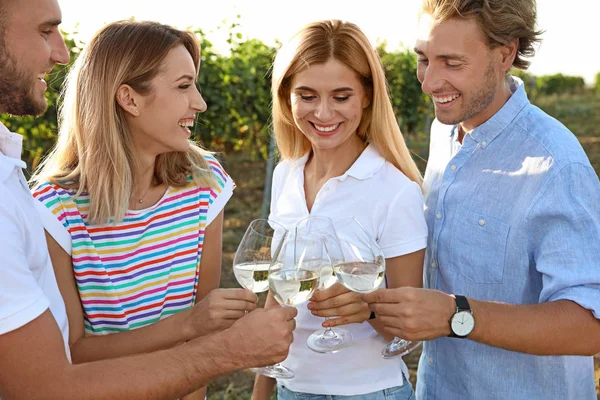 Elinde Kadeh Şarap Üzüm Bağı Pikniğe Eğleniyor Arkadaşlar — Stok fotoğraf
