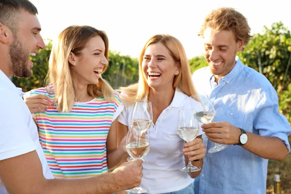 Vrienden Houden Van Glazen Wijn Plezier Wijngaard Picknick — Stockfoto