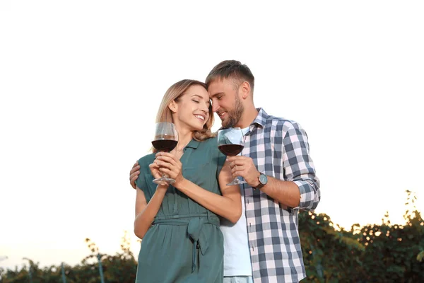 Junges Romantisches Paar Mit Weingläsern Weinberg — Stockfoto