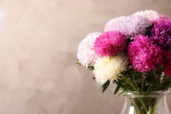 Vazoda Renkli Arka Plan Üzerinde Güzel Aster Çiçek Buketi Metin — Stok fotoğraf