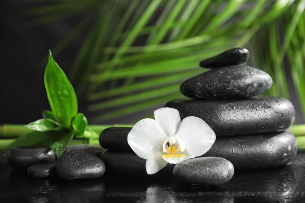 Spa Stenar Med Orkidé Och Bambu Blad Mörka Bord — Stockfoto