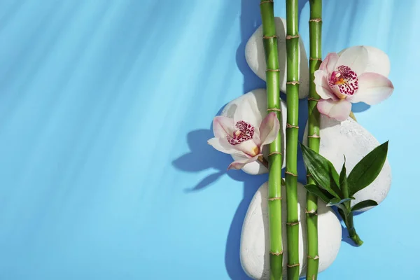 Samenstelling Met Bamboe Takken Bloemen Spa Stenen Kleur Achtergrond Bovenaanzicht — Stockfoto