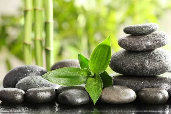 Bamboo Leaves Spa Stones Table Blurred Background Space Text — Stock Photo, Image