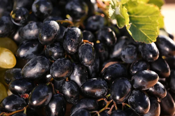 Uvas Jugosas Frescas Maduras Como Fondo Primer Plano — Foto de Stock