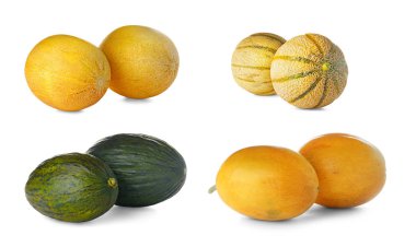 Taze olgunlaşmış kavun farklı türdeki beyaz arka plan üzerinde ayarlayın