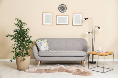 Şık salon iç ficus ışık duvarının yakınında Çift Kişilik