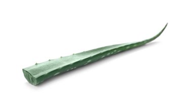 Yaprak beyaz arka plan üzerinde aloe vera