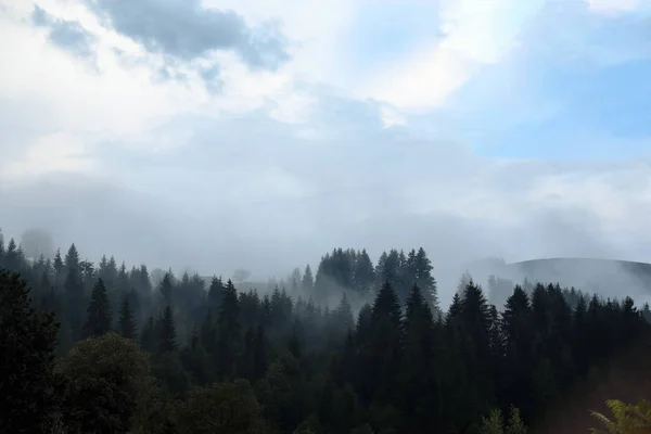 Vista Pitoresca Floresta Montanhosa Manhã Nebulosa — Fotografia de Stock