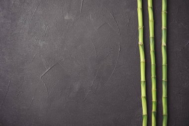 Bambu dalları gri arka plan, üstten görünüm üzerinde. Metin için yer