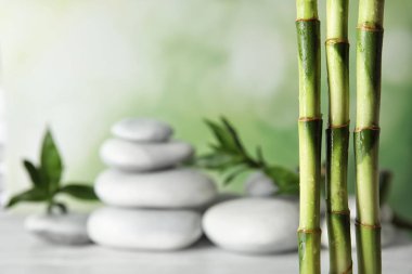 Bambu dalları bulanık spa taşlar tablo karşı. Metin için yer