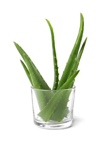 Glass Aloe Vera Leaves White Background — Stock Photo, Image