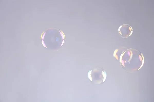 灰色背景上的美丽半透明肥皂气泡 — 图库照片