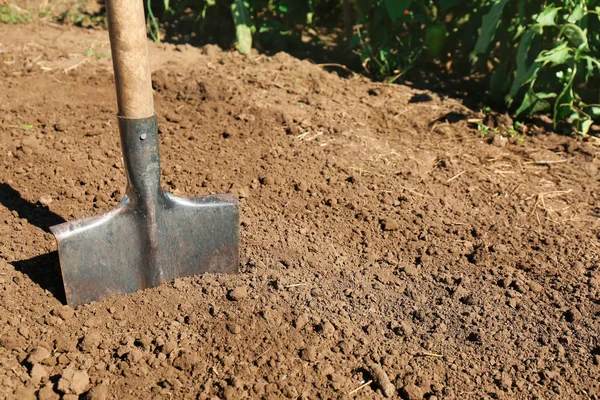 Metal Shovel Soil Space Text Gardening Tool — Stock Photo, Image