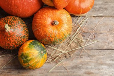 Ahşap arka plan üzerinde turuncu kabak ile düz yatıyordu kompozisyon. Sonbahar tatil