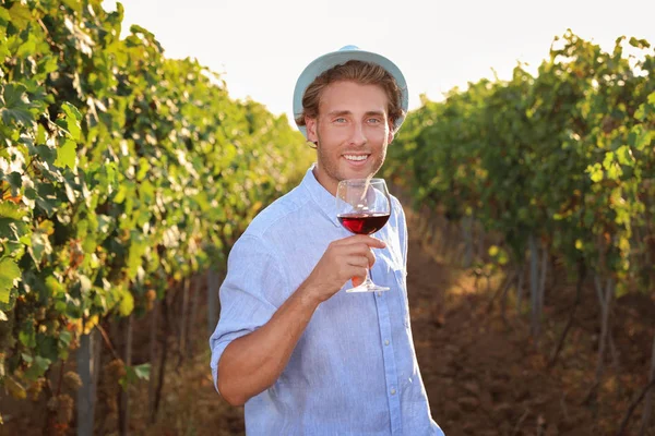 Jeune Homme Beau Avec Verre Vin Vignoble Par Une Journée — Photo