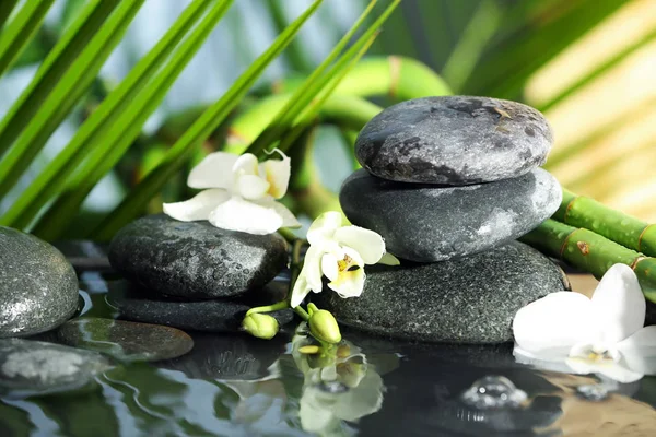 Wellness Steine Blumen Und Bambuszweige Wasser — Stockfoto