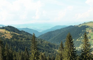 Güzel manzara orman ve dağ etekleri ile