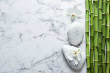 Mermer zemin üzerine yeşil bambu saplı düz yatıyordu kompozisyon. Metin için yer