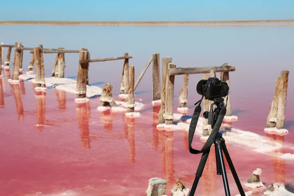 ピンクの湖の近くに三脚とプロのカメラ — ストック写真