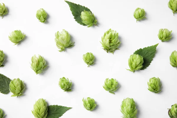 Houblon Vert Frais Sur Fond Blanc Vue Dessus Production Bière — Photo