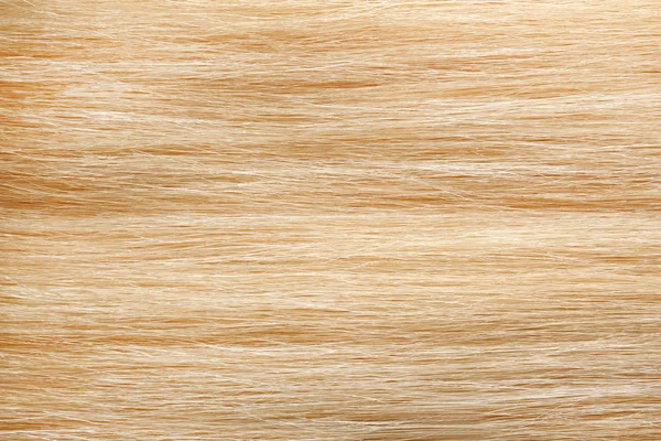 Texture Healthy Blond Hair Background Closeup — Stock Photo, Image