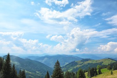 Güzel manzara orman ve dağ etekleri ile