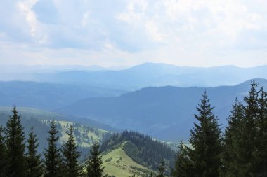 Güzel manzara orman ve dağ etekleri ile