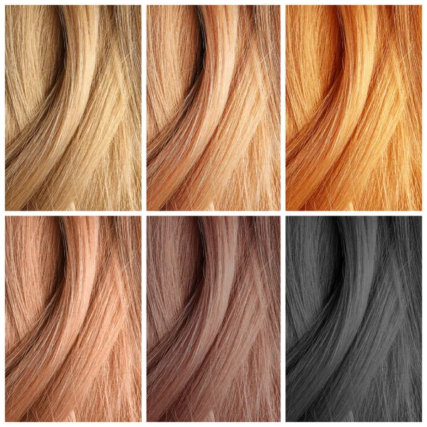 Set Color Hair Samples Beauty Professional Treatment — Stock Photo, Image