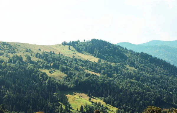 Paisagem Bonita Com Encostas Floresta Montanha — Fotografia de Stock