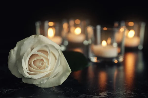 Rosa Blanca Velas Encendidas Borrosas Mesa Oscuridad Espacio Para Texto — Foto de Stock