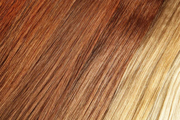 Strands Different Color Hair Background Closeup — Stock Photo, Image