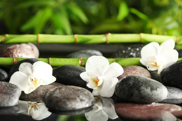 Spa Stones Flowers Bamboo Branches Water Stock Image