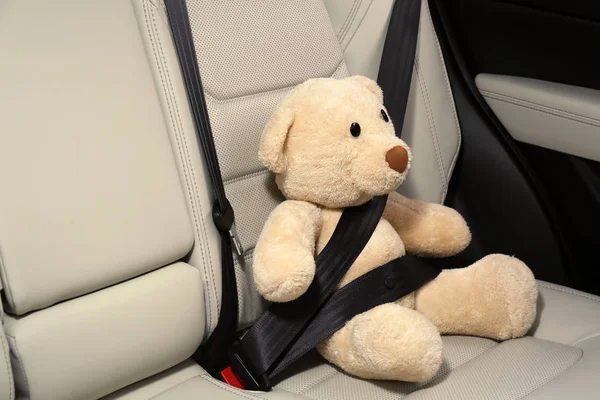 Jolie Peluche Ours Jouet Bouclé Dans Siège Arrière Voiture — Photo