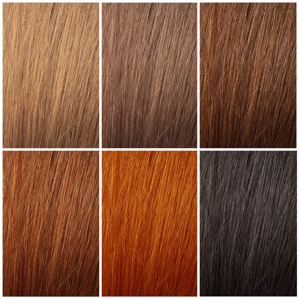 Set Color Hair Samples Beauty Professional Treatment — Stock Photo, Image