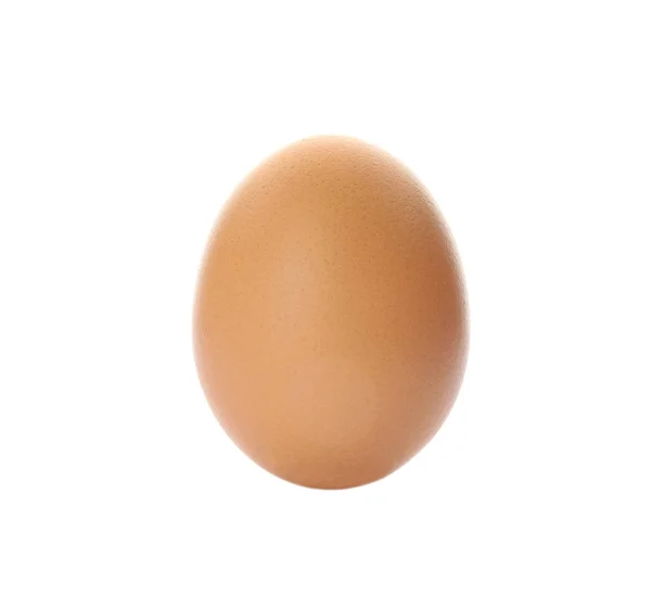 Uovo Pollo Crudo Marrone Sfondo Bianco — Foto Stock
