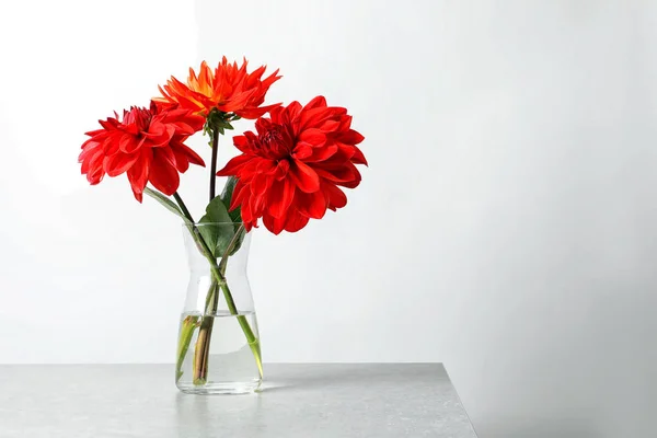 Florero Con Hermosas Flores Dalia Sobre Mesa Sobre Fondo Claro — Foto de Stock