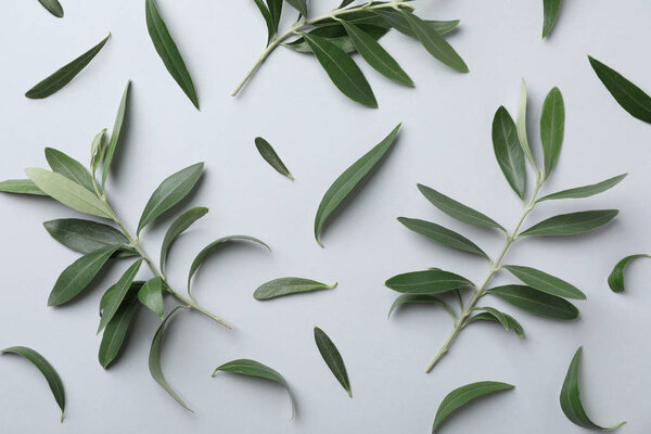 Flat lay composition with fresh green olive leaves and twigs on light background