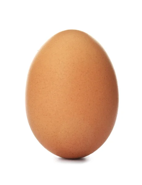Сире Коричневе Куряче Яйце Білому Тлі — стокове фото